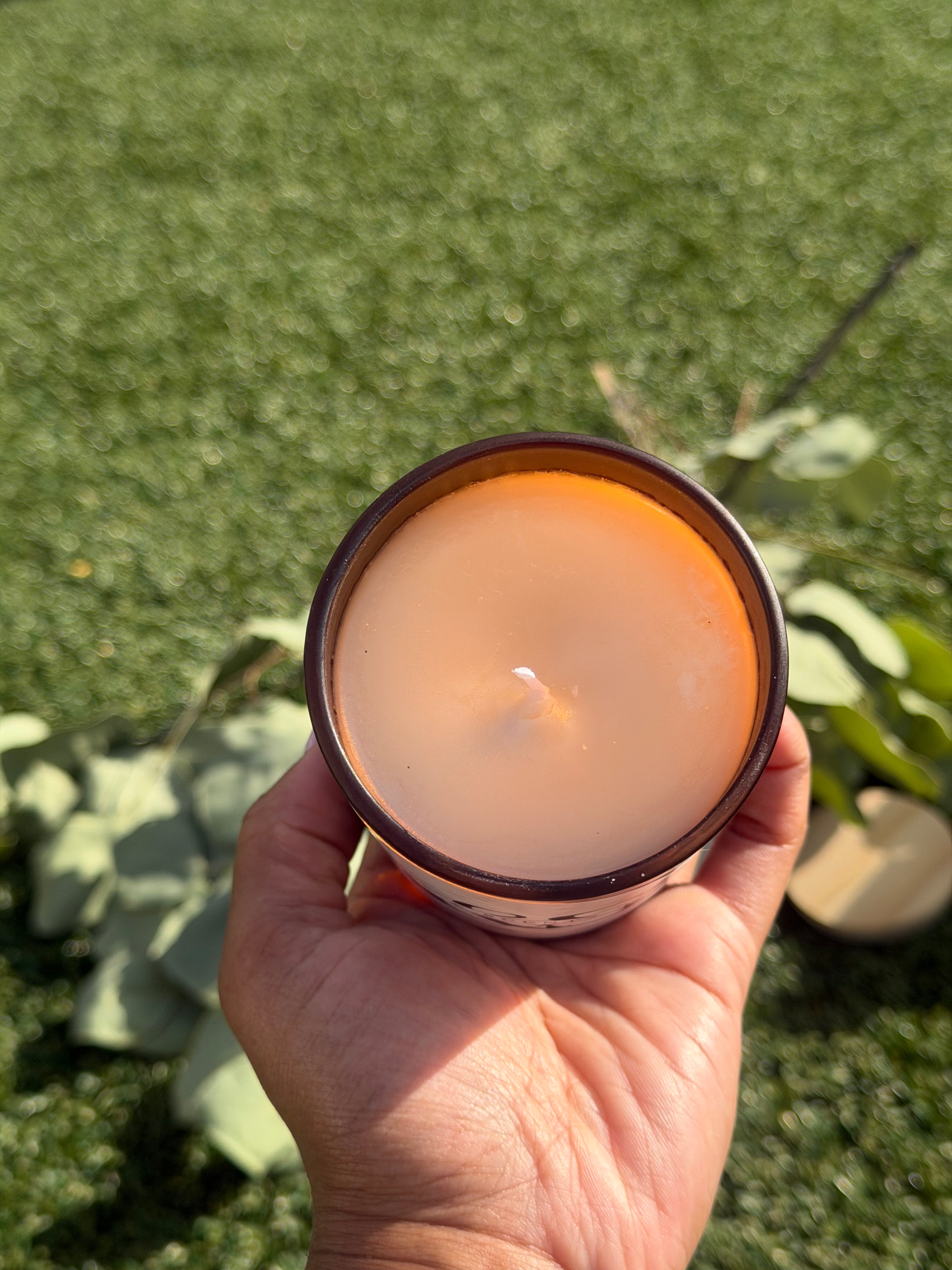 Eucalyptus Energy