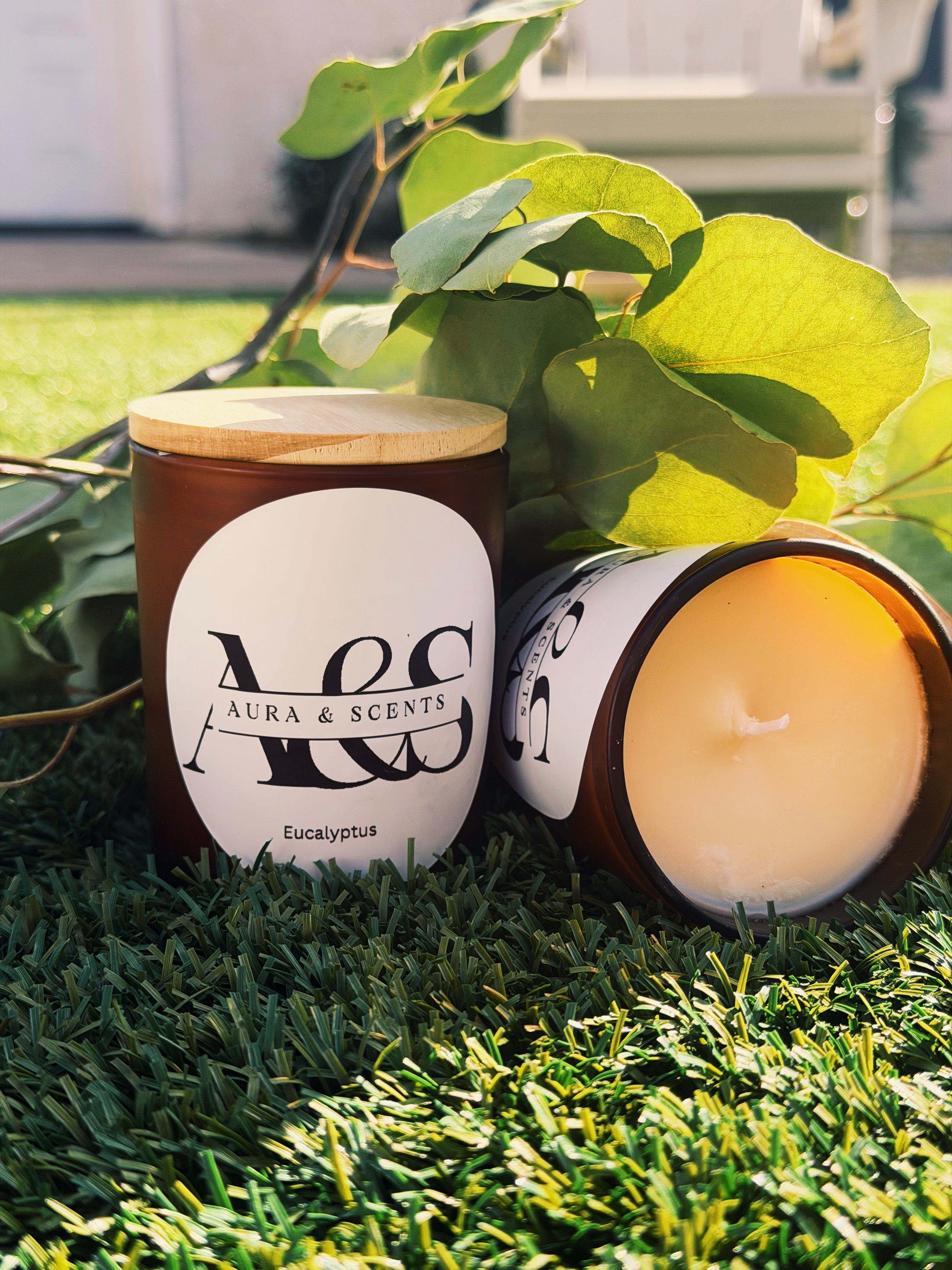 Eucalyptus Energy