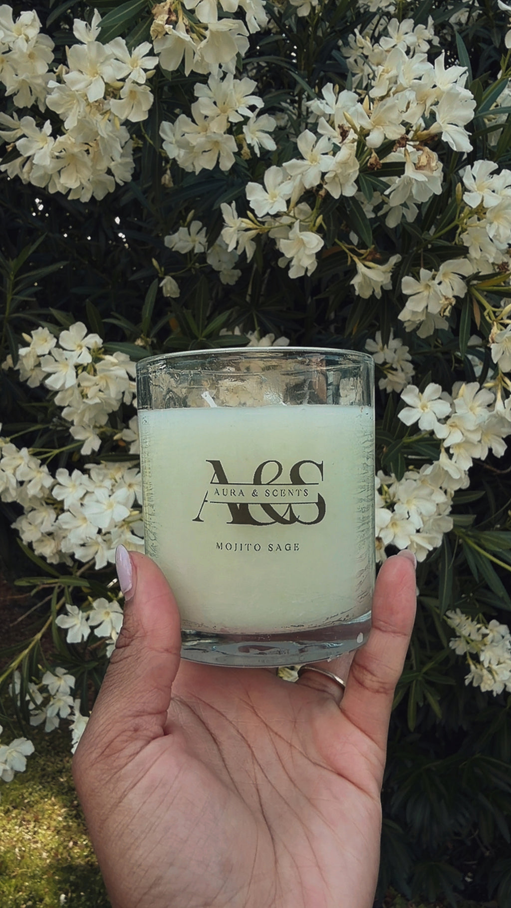 Mojito Sage