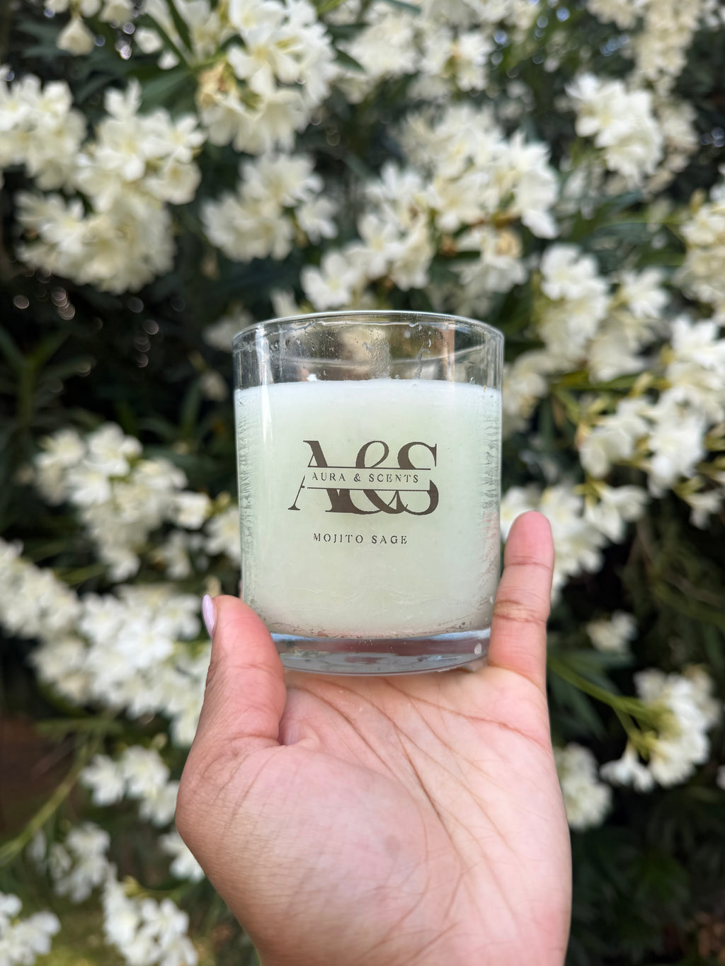 Mojito Sage