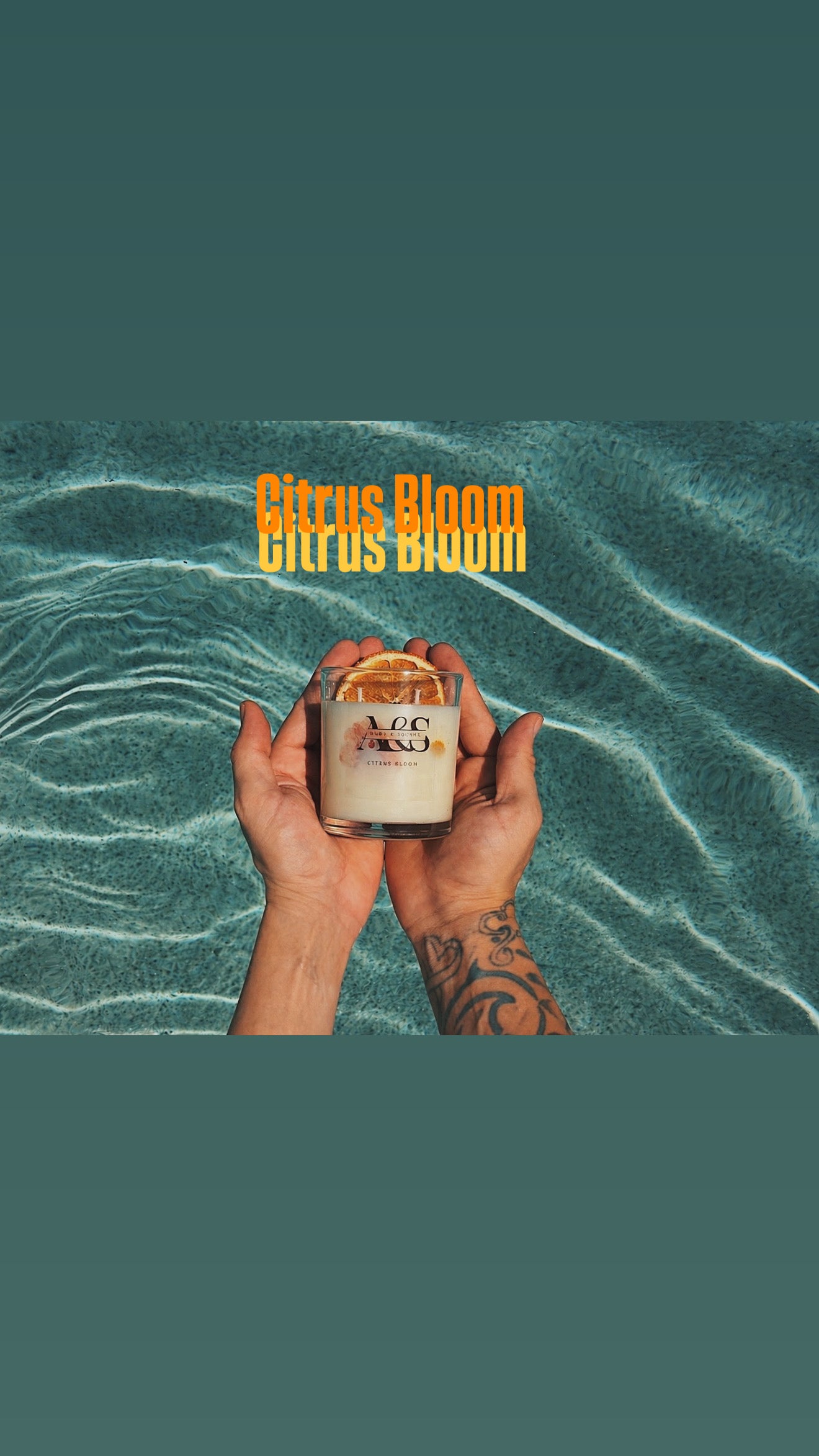 Citrus Bloom